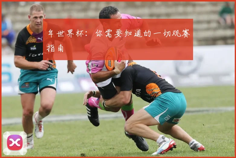 年世界杯：你需要知道的一切观赛指南