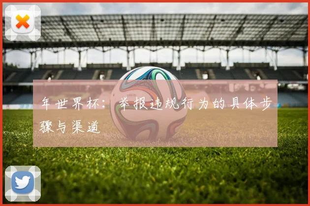 年世界杯：举报违规行为的具体步骤与渠道